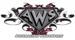 AWS Logo 256 pixel.JPG