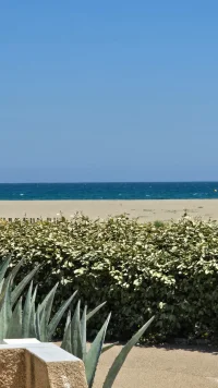 20260529_135236.webp