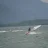 windsurfen_walensee